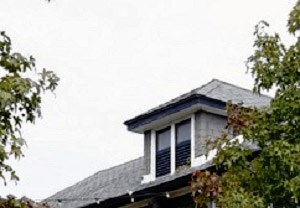 4417 Swiss - LANDMARK closeup